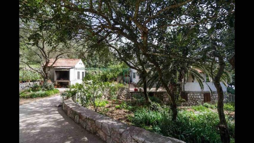Villa Franic Saplunara Kültér fotó